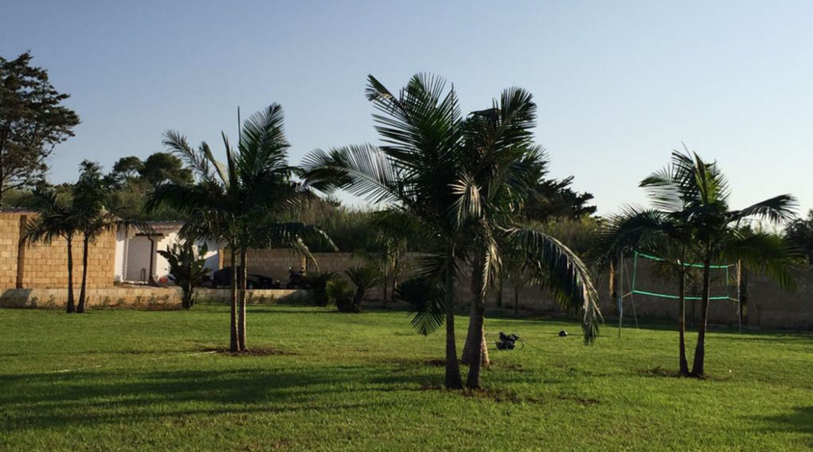 Garden